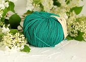 Пряжа Пехорка Детский каприз изумруд (50гр 225м) (шерсть мериносовая 50% фибра 50%) Пряжа Пехорка Детский каприз изумруд (50гр 225м) (шерсть мериносовая 50% фибра 50%)