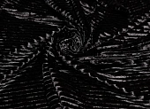 Ткань бархат однотон. черный ш 1,4 (пэ 100%) Ткань бархат однотон. черный ш 1,4 (пэ 100%)